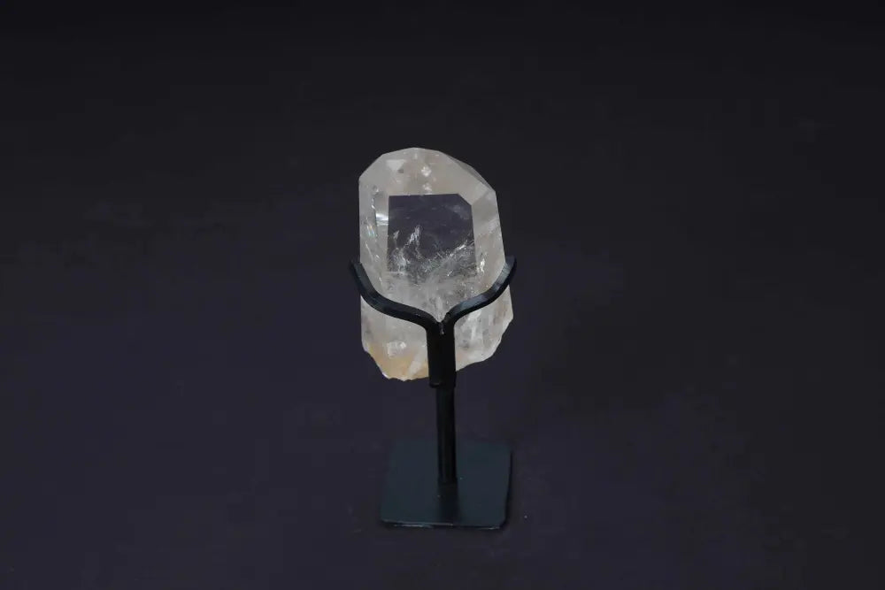 orbitvu|type:image2d