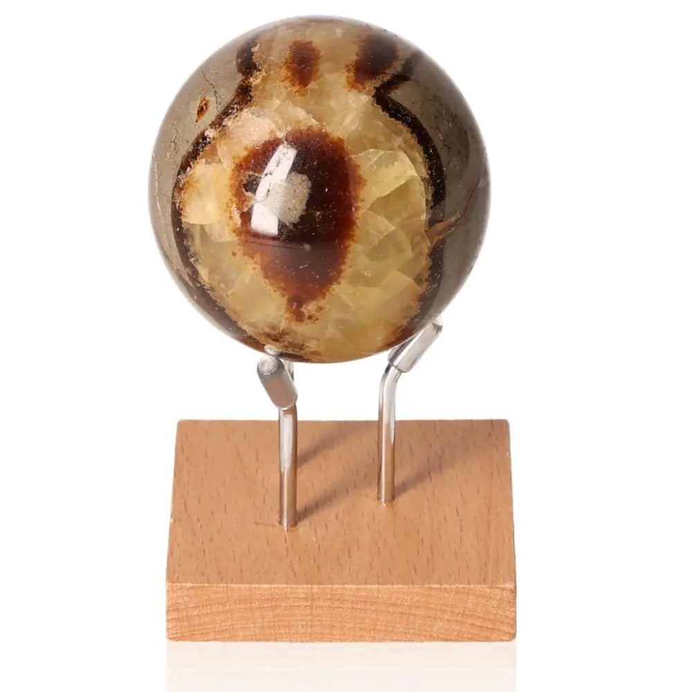 Septarian sphere on wooden stand, showcasing unique patterns, known as the "Dragon Stone" for its power and endurance symbolism.