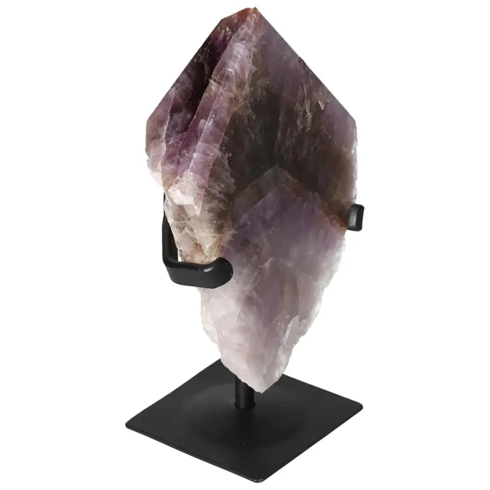 orbitvu|type:image2d