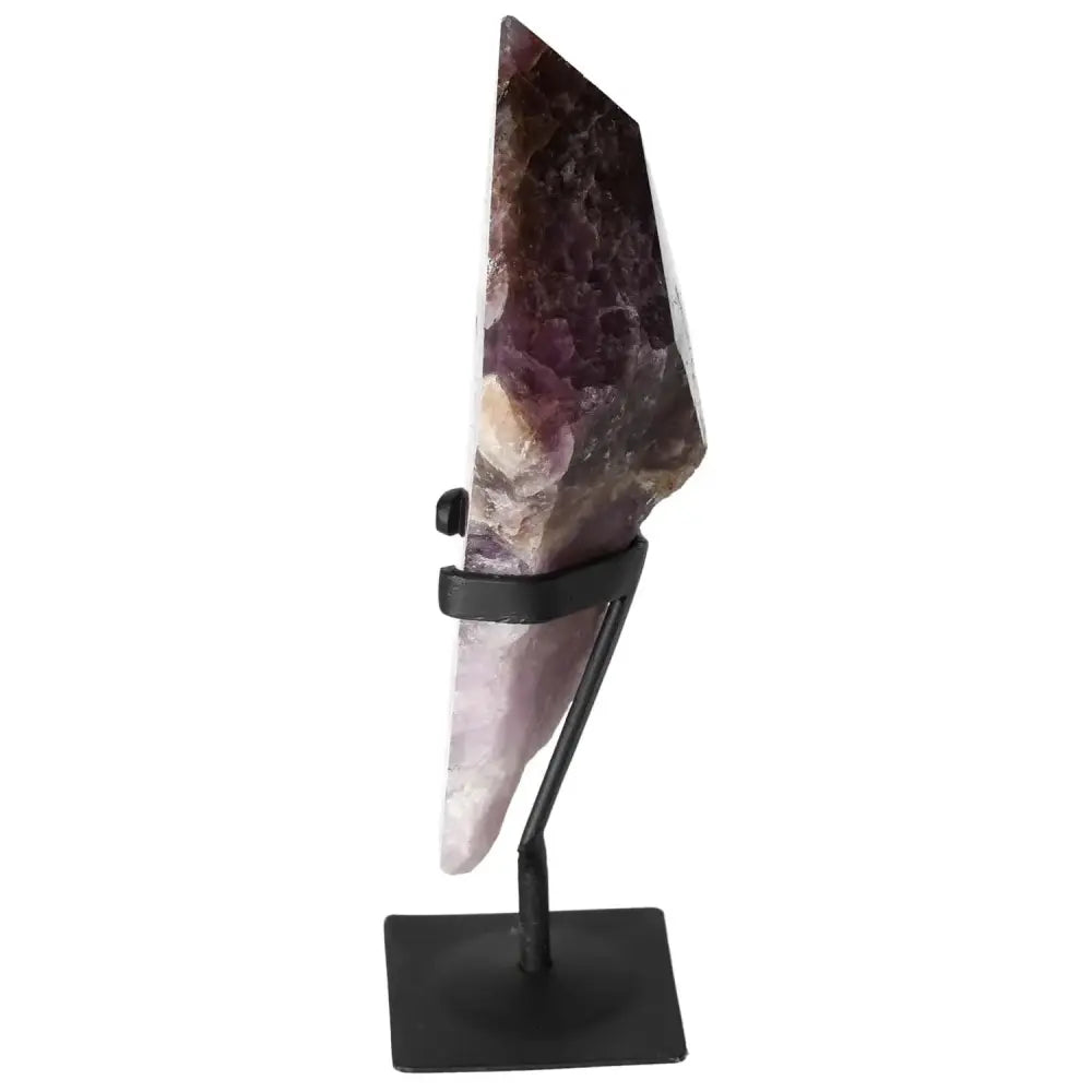orbitvu|type:image2d