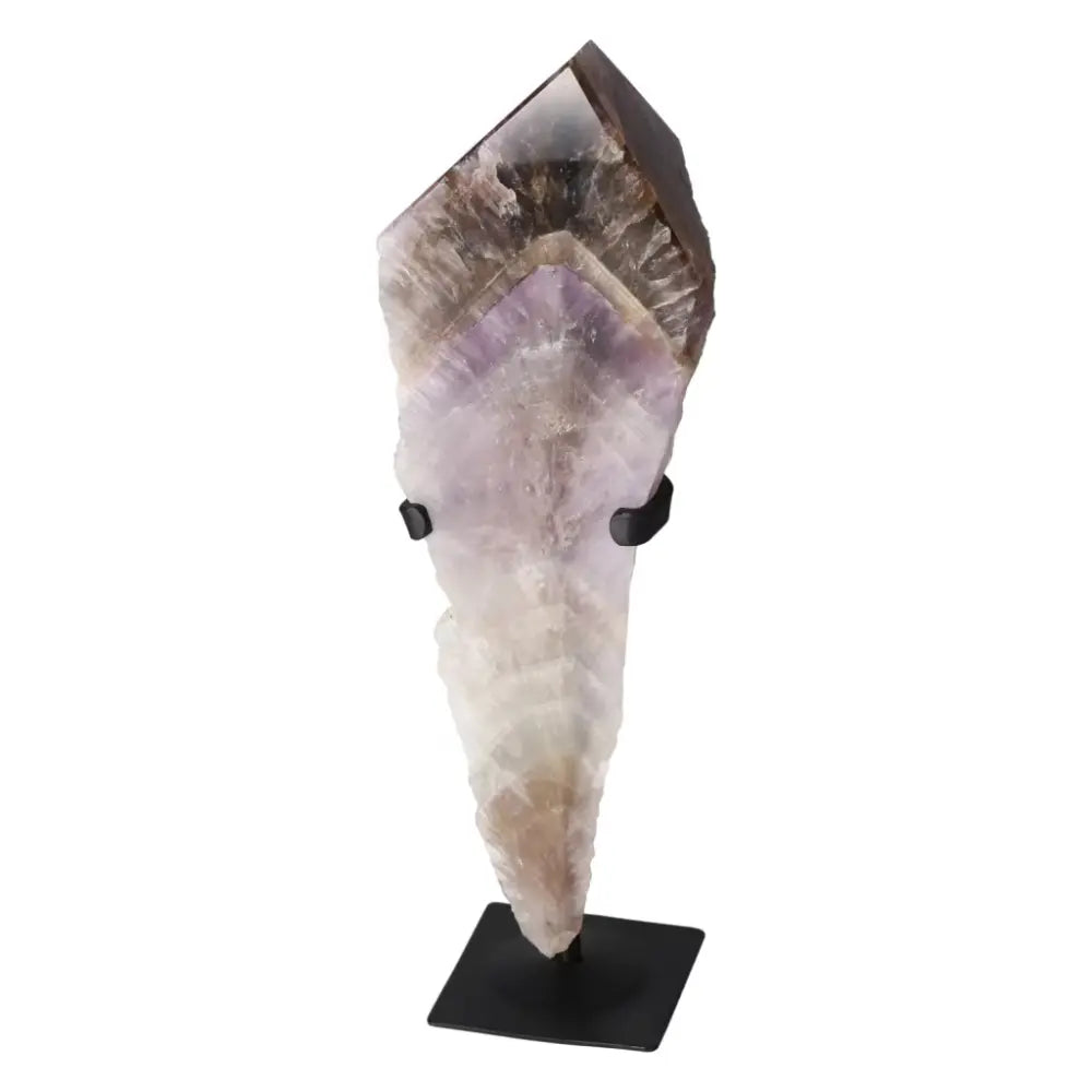 orbitvu|type:ORBITVU 360|https://orbitvu.co/share/vvp37gcwCDAWuyQXwuhYj7/6525085/360/iframe