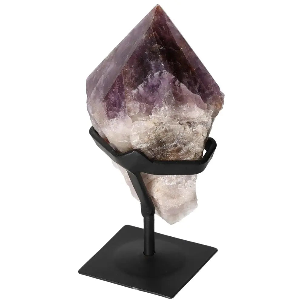 Seven Point Polished Amethyst on display, showcasing its vibrant purple hues and crystalline structure, offered by Sylvia Crystals.
