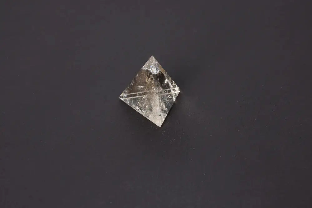 orbitvu|type:image2d