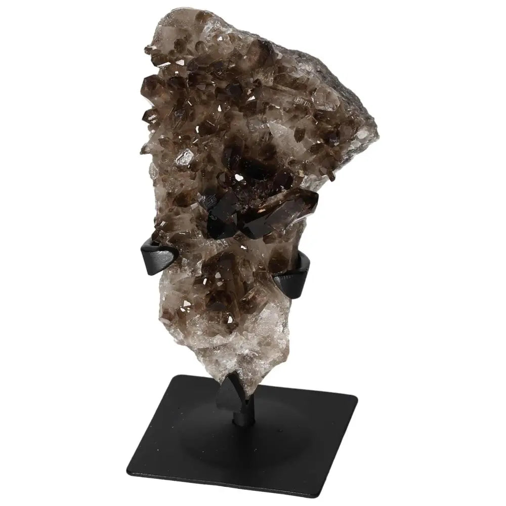 Smoky Quartz with metal stand showcasing a striking crystal formation, perfect for decor and mental clarity, from Sylvia Crystals.