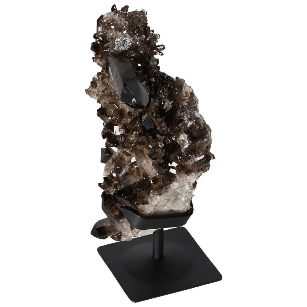 Sylvia Crystals Smoky Quartz on metal stand, enhancing clarity and balance for professionals.