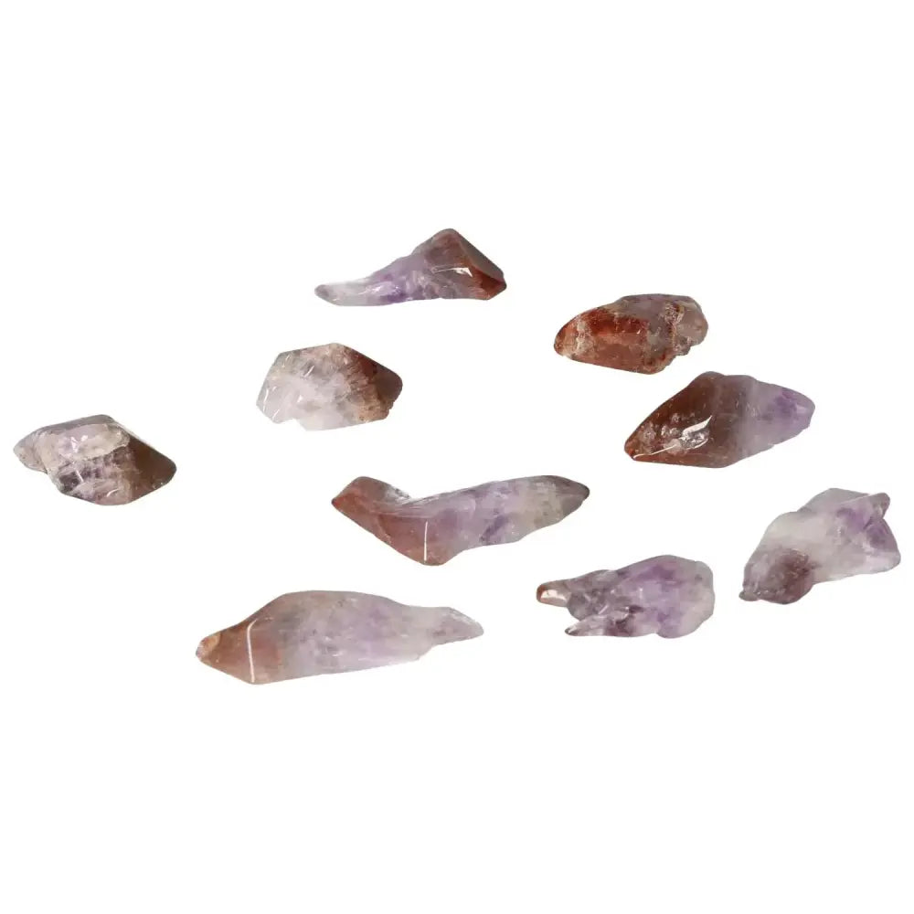 orbitvu|type:image2d