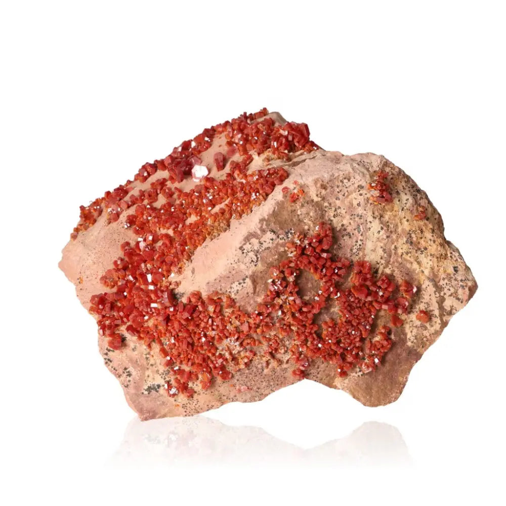 Vibrant red-orange vanadinite crystal druze showcasing unique formations, known for focus and creativity, ideal for collectors and creatives.