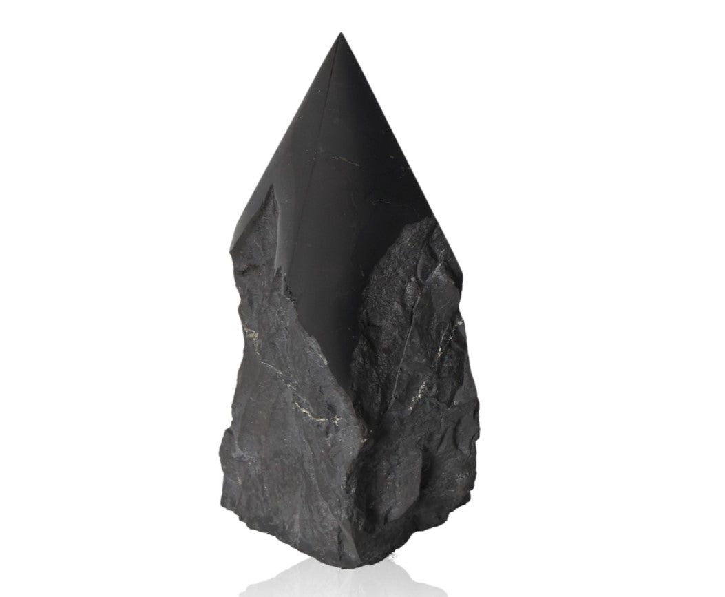 Shungite