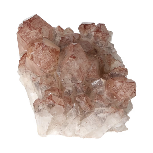 orbitvu|type:ORBITVU 360|https://orbitvu.co/share/uYskzDqEUVu8Tu6KUMcjPc/6529355/360/iframe