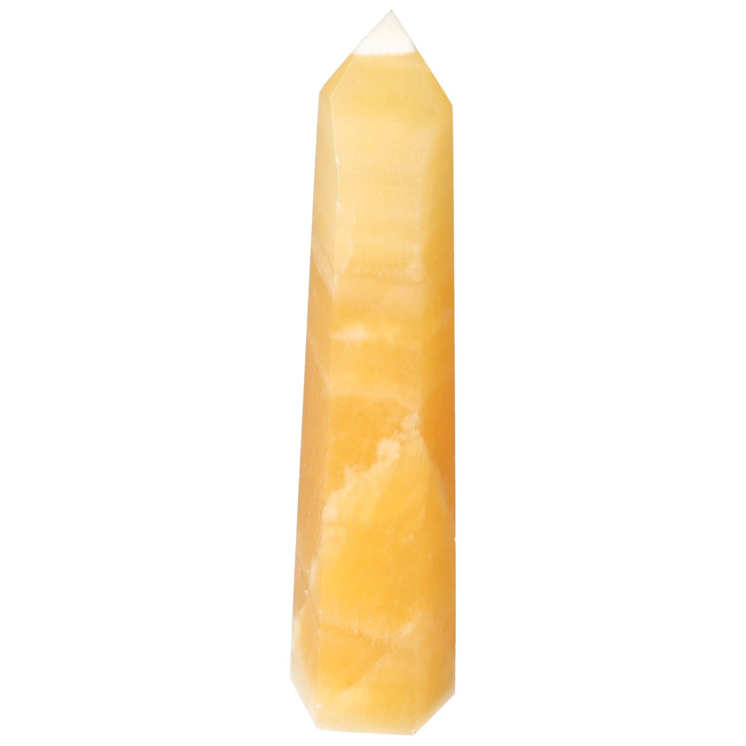 orbitvu|type:image2d