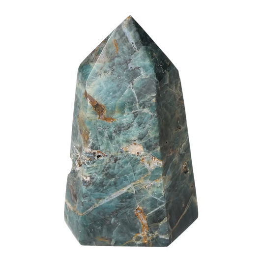 orbitvu|type:ORBITVU 360|https://orbitvu.co/share/AVs3fgUAC9SW3qzasjq2bG/6531068/360/iframe