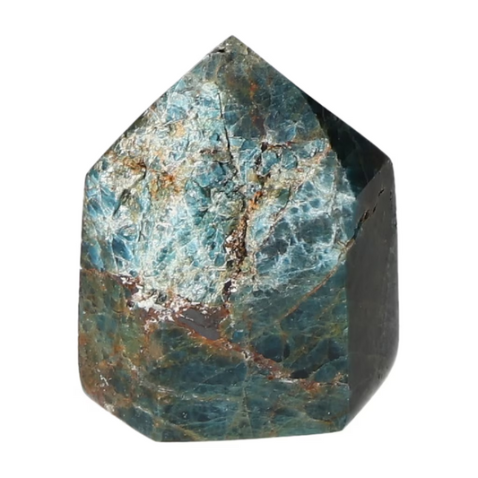 orbitvu|type:ORBITVU 360|https://orbitvu.co/share/j4T9TmrRgNova4nEqeHvYL/6531166/360/iframe