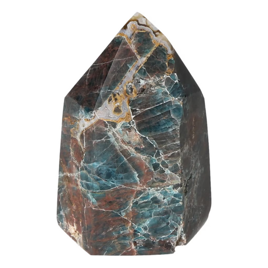 orbitvu|type:ORBITVU 360|https://orbitvu.co/share/4rBT8omg9ZtPktBZTKkX69/6530108/360/iframe