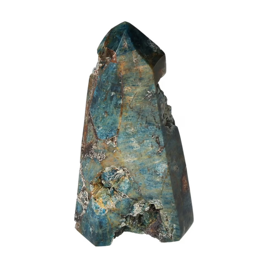 orbitvu|type:ORBITVU 360|https://orbitvu.co/share/hAYixnBrga7cVMS7t7AtfZ/6530704/360/iframe