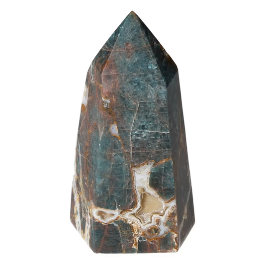 orbitvu|type:ORBITVU 360|https://orbitvu.co/share/aVuKBCDZ8RtgfJSphhiRb9/6530803/360/iframe