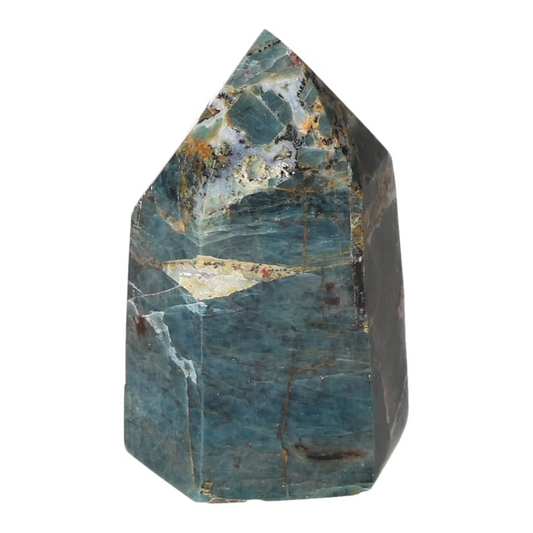 orbitvu|type:ORBITVU 360|https://orbitvu.co/share/L7QUjTUxZkiMZgj84Zb5r5/6530338/360/iframe