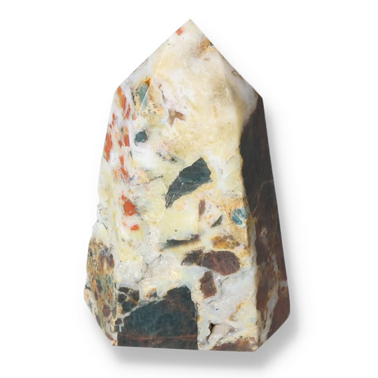 orbitvu|type:ORBITVU 360|https://orbitvu.co/share/fmJefyiXAiSvFPizFEtRHf/6531046/360/iframe