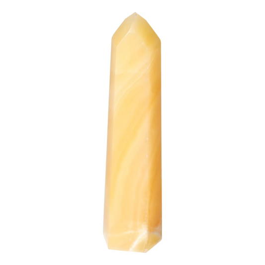 orbitvu|type:ORBITVU 360|https://orbitvu.co/share/mQCLiYoXxpxSKiZKm3zE4X/6531515/360/iframe