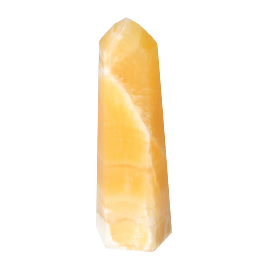 orbitvu|type:ORBITVU 360|https://orbitvu.co/share/HE6fWkkeVwUhppefPvbSXP/6531752/360/iframe
