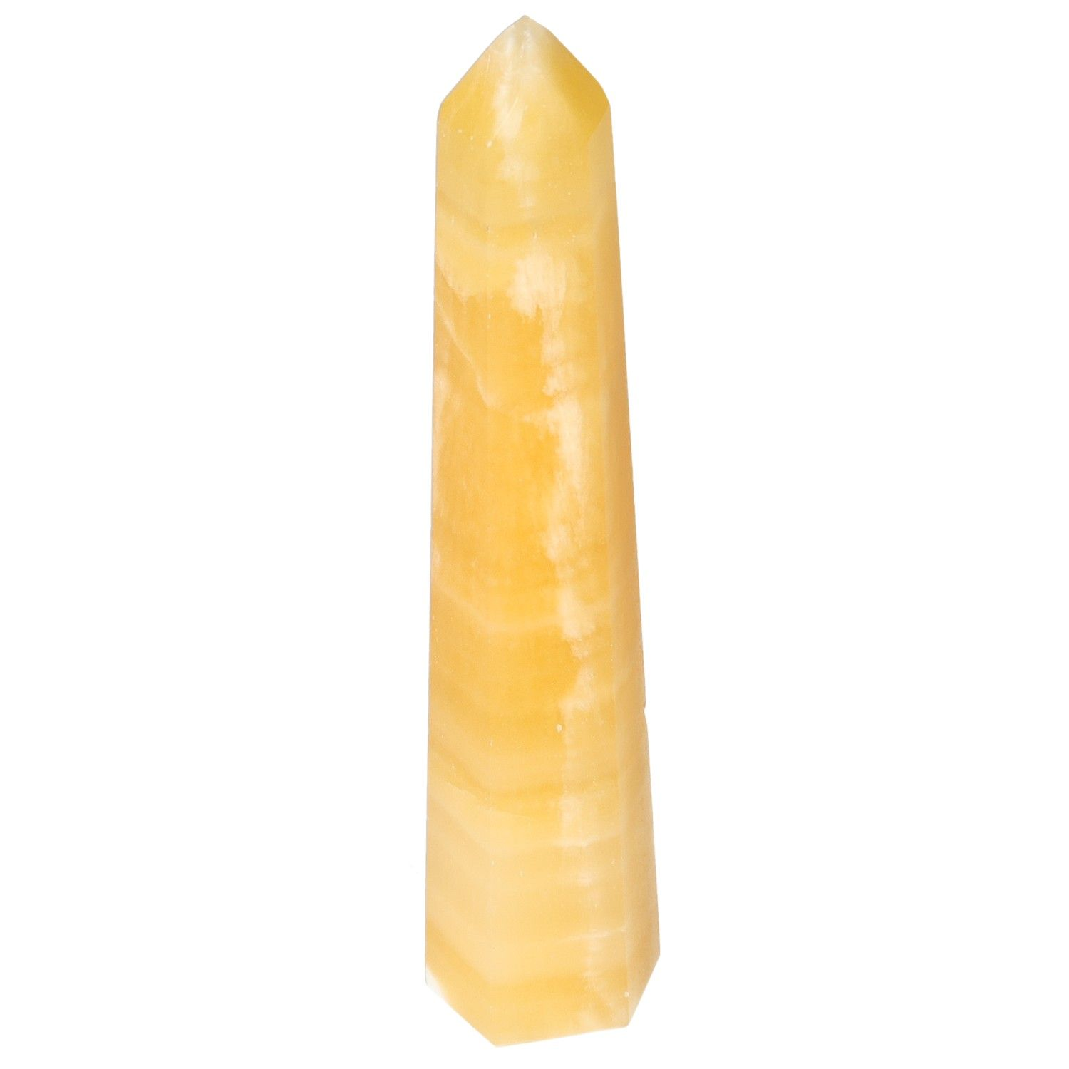 orbitvu|type:image2d