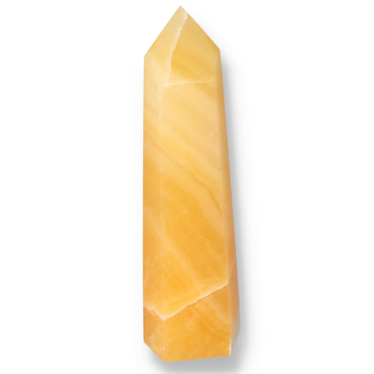 orbitvu|type:ORBITVU 360|https://orbitvu.co/share/m62SWJKPMUCVD5WTussPnZ/6532194/360/iframe