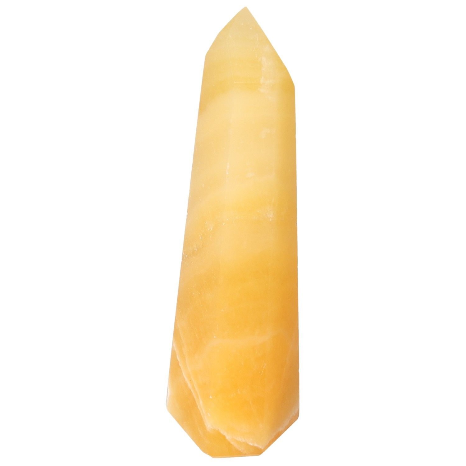 orbitvu|type:image2d