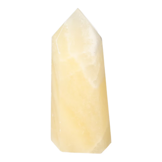 orbitvu|type:ORBITVU 360|https://orbitvu.co/share/YcswE7Uq2KkVbdrREBKEYP/6531865/360/iframe