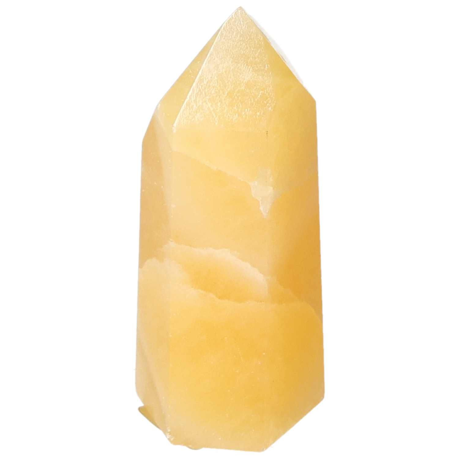 orbitvu|type:image2d