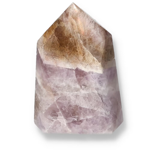 orbitvu|type:ORBITVU 360|https://orbitvu.co/share/9NEp7tvmGg2WAwXVprujL9/6532915/360/iframe