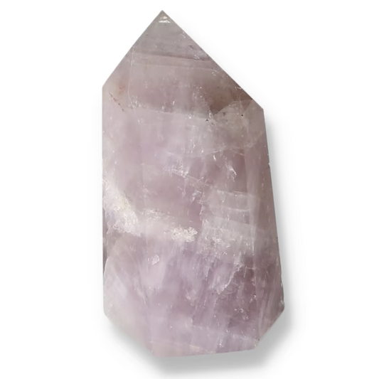 orbitvu|type:ORBITVU 360|https://orbitvu.co/share/3HFituqgAgYAyV9chXpijM/6532990/360/iframe