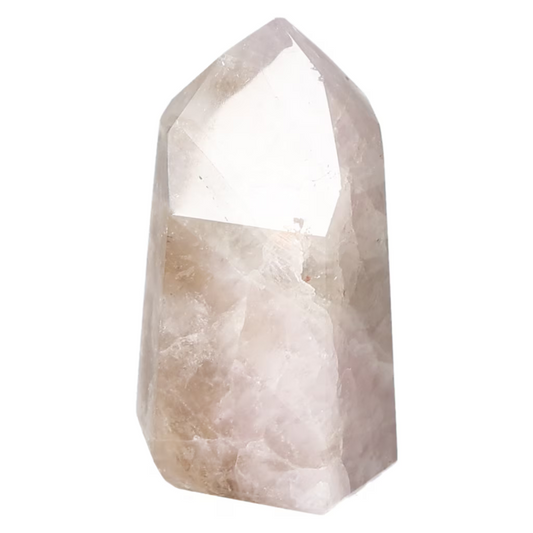 orbitvu|type:ORBITVU 360|https://orbitvu.co/share/uGhpWYPMZq4fqmdNJqZf4d/6532607/360/iframe