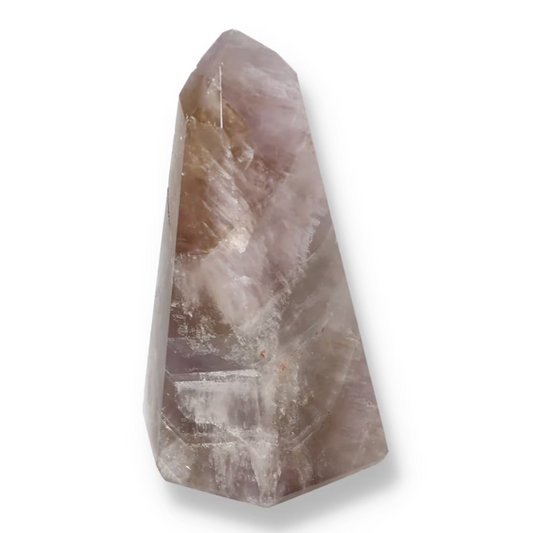 orbitvu|type:ORBITVU 360|https://orbitvu.co/share/cPkjfhzXXvUsKcY4iBSg7T/6533049/360/iframe