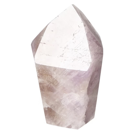 orbitvu|type:ORBITVU 360|https://orbitvu.co/share/Ry93nYxvQ3EK9eh3nKMAjE/6532674/360/iframe