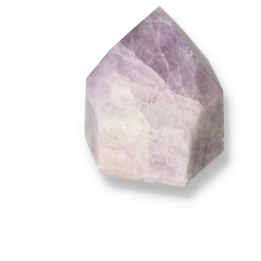 orbitvu|type:ORBITVU 360|https://orbitvu.co/share/RooaxdwjBnb2AHrDANKTKR/6532970/360/iframe