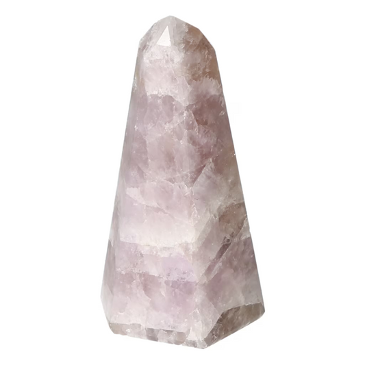 orbitvu|type:ORBITVU 360|https://orbitvu.co/share/VoEkqB6yJers8LiJHQNmpQ/6532691/360/iframe