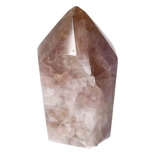 orbitvu|type:ORBITVU 360|https://orbitvu.co/share/r6Ym7hzqLqn6G364iF5VaJ/6532724/360/iframe