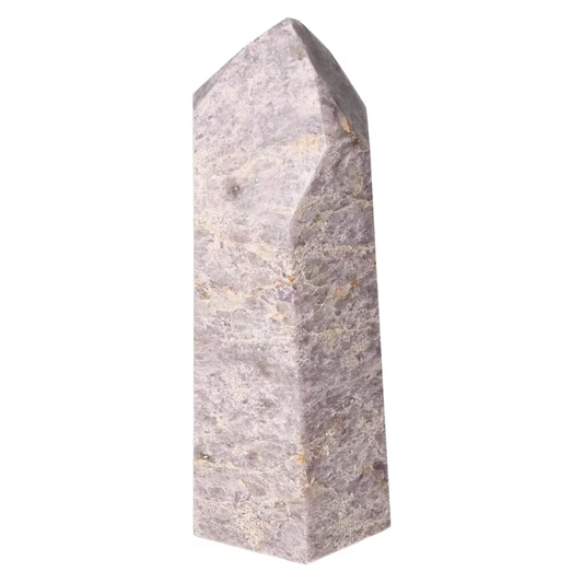 orbitvu|type:ORBITVU 360|https://orbitvu.co/share/vEUy3SgjCgP9A3jaRTUkCa/6533563/360/iframe