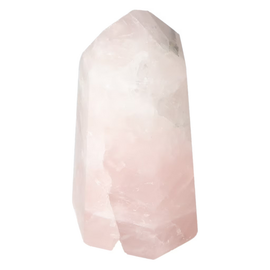 orbitvu|type:ORBITVU 360|https://orbitvu.co/share/RgroXzcdaAK8ndtxNJCRBM/6535616/360/iframe