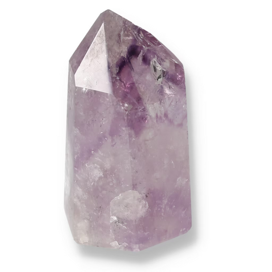 orbitvu|type:ORBITVU 360|https://orbitvu.co/share/SD4G5RiAJFT8QjTQuhhP6J/6536083/360/iframe