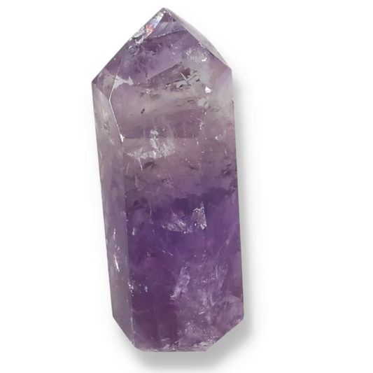 orbitvu|type:ORBITVU 360|https://orbitvu.co/share/YPhGEMjbnSZJWqqTnrSnt5/6536394/360/iframe
