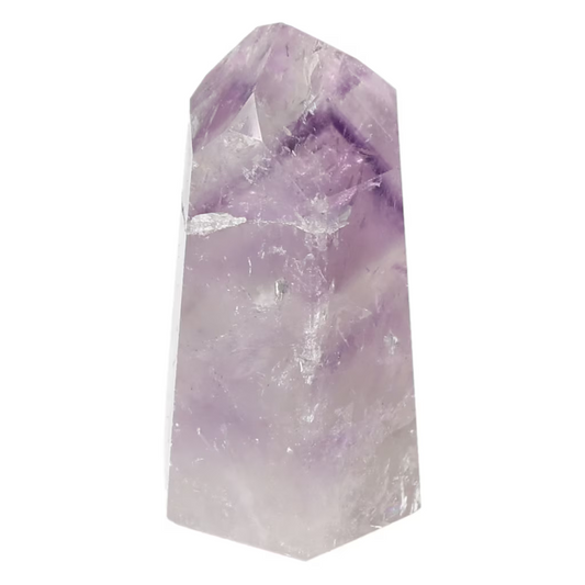 orbitvu|type:ORBITVU 360|https://orbitvu.co/share/MQniBEpB2p9poeiVR5jPnJ/6536268/360/iframe