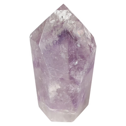 orbitvu|type:ORBITVU 360|https://orbitvu.co/share/9CH7Db2FgLFoGvwaQRRSjE/6536160/360/iframe