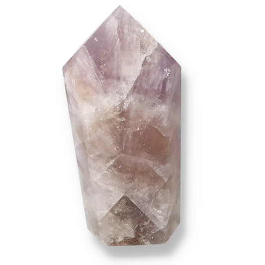 orbitvu|type:ORBITVU 360|https://orbitvu.co/share/s5w2nHQvm58FHtGPPfQvb9/6534183/360/iframe