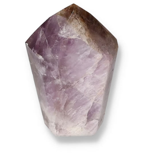 orbitvu|type:ORBITVU 360|https://orbitvu.co/share/HWw3v3idRAepaCpjHX7Qxc/6534164/360/iframe
