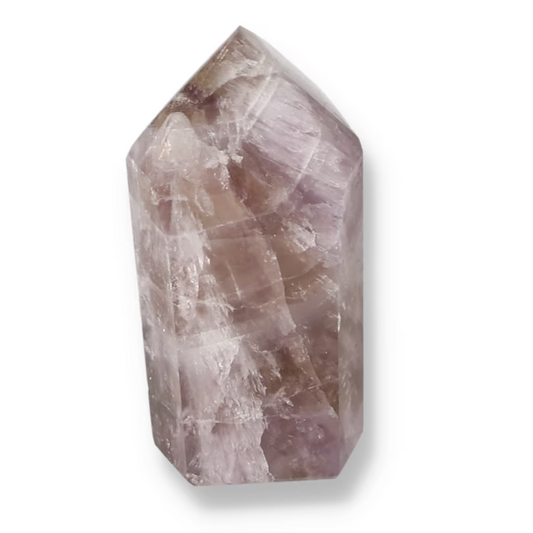 orbitvu|type:ORBITVU 360|https://orbitvu.co/share/DNUGodT9PVjxG9LGkW2UV6/6534194/360/iframe