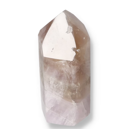 orbitvu|type:ORBITVU 360|https://orbitvu.co/share/aXDgwem29UkJ6p7cC8ThRA/6534347/360/iframe