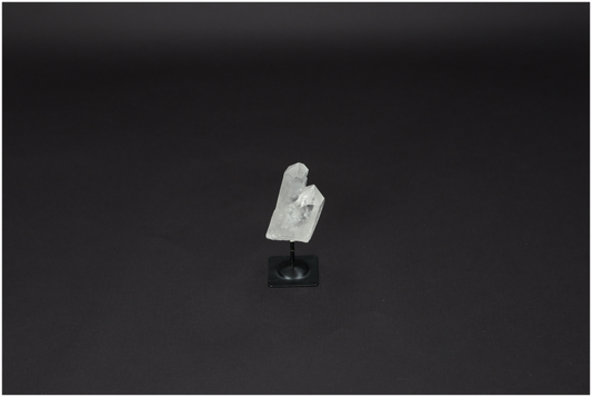 orbitvu|type:image2d