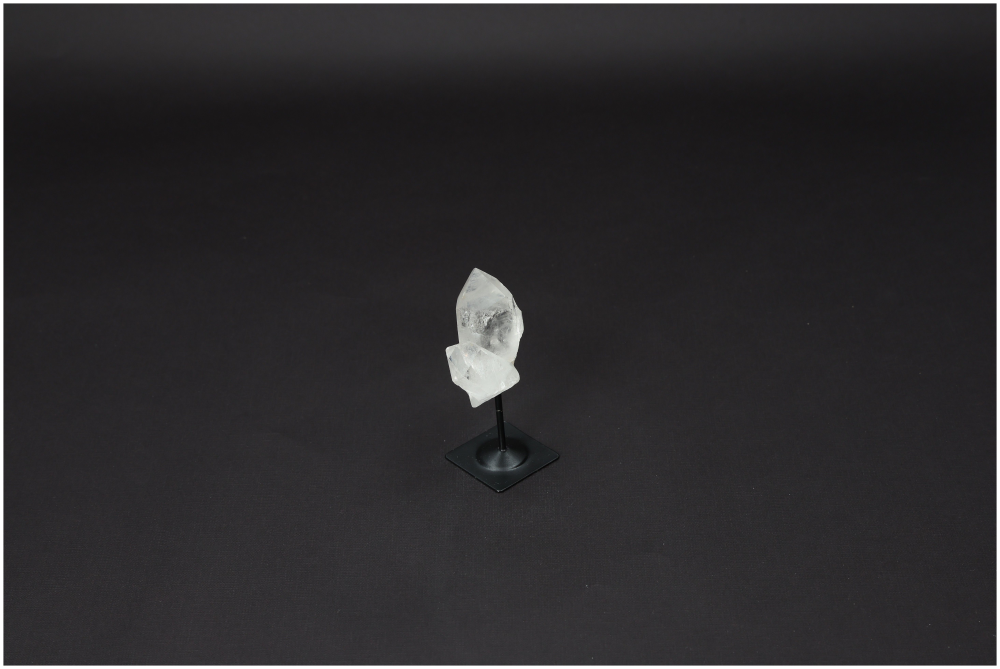 orbitvu|type:image2d