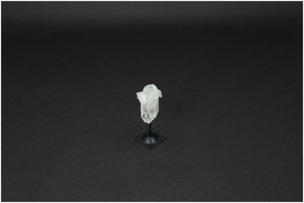 orbitvu|type:image2d
