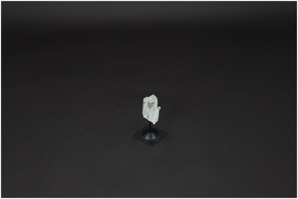 orbitvu|type:image2d